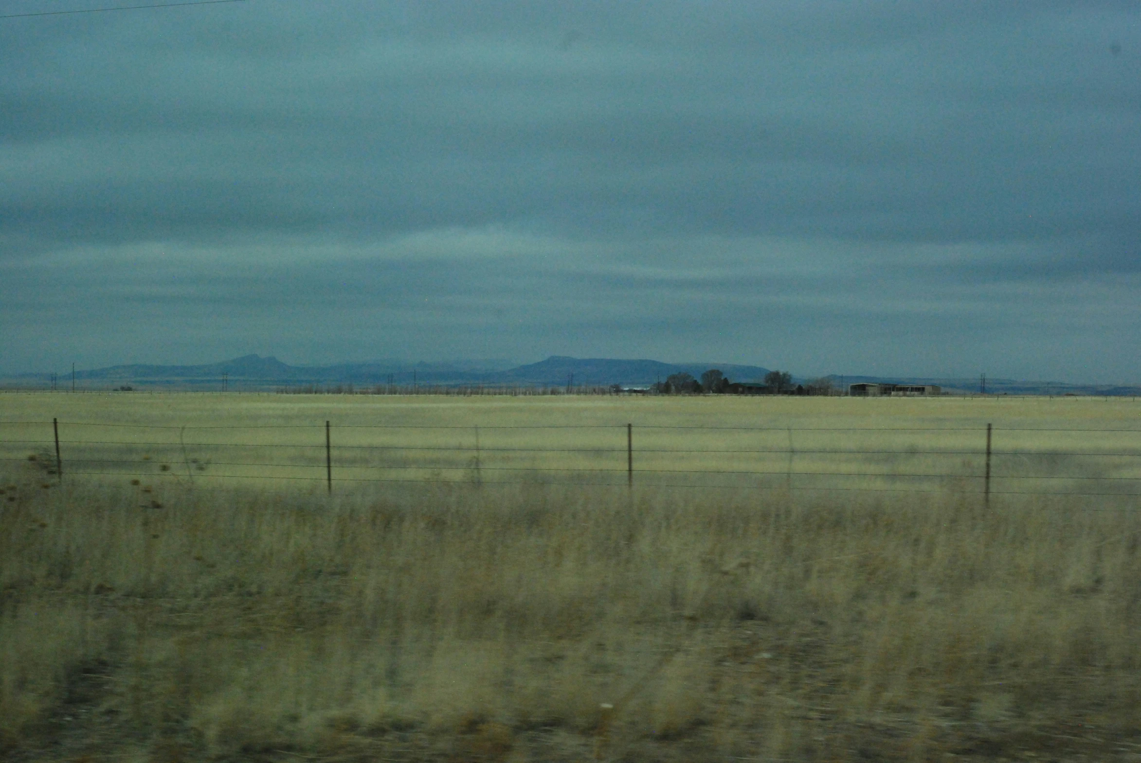 a lone horse stands alone in an open plain