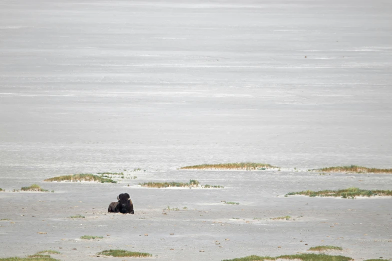 a man sitting on the sand and looking out towards the water