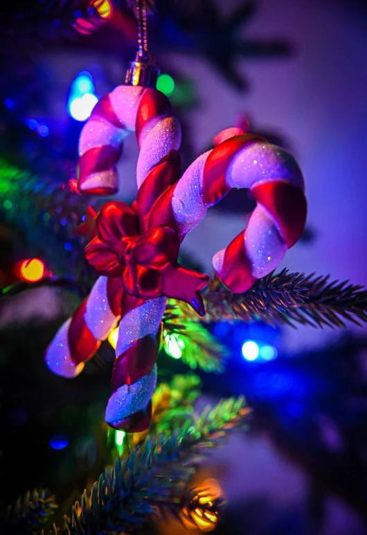 christmas ornament hanging from a brightly lit tree