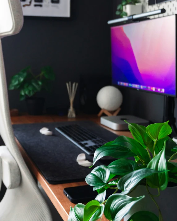 a computer on a desk with a potted plant