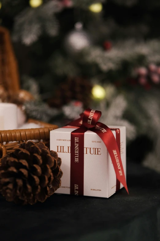 a holiday present sitting in front of a christmas tree