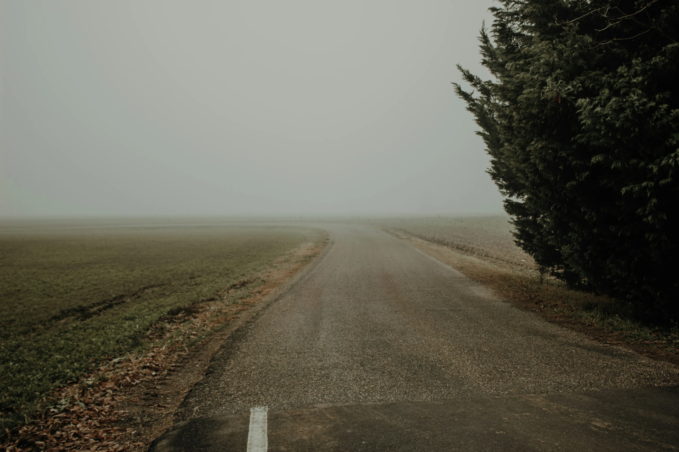 a long empty dirt road next to trees