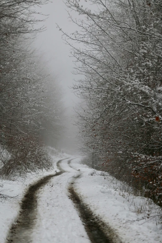 two snow covered road sides in the woods