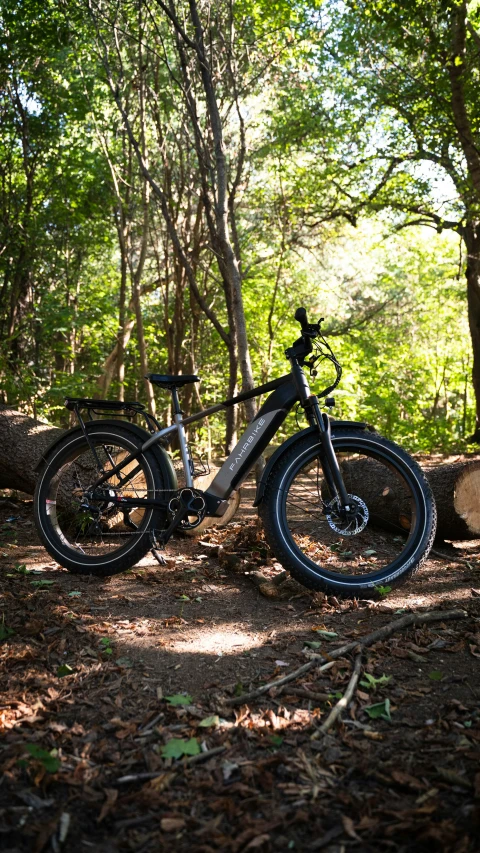 this is a mountain bike in the woods