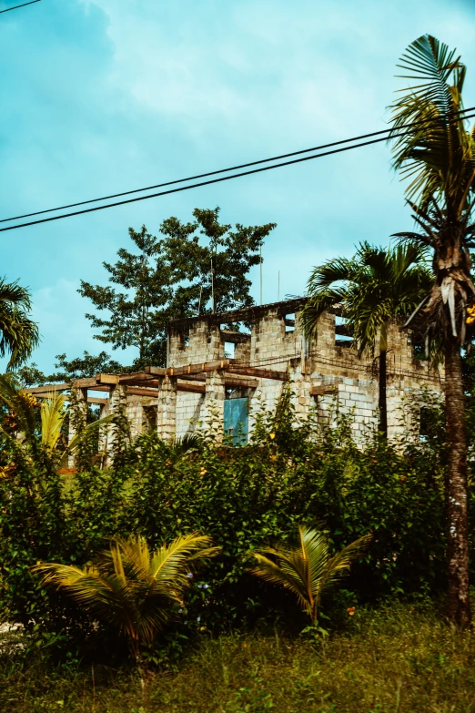 a brick building sitting between many palm trees