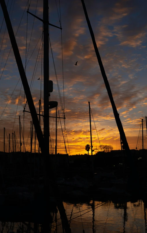 the sun is setting in the background behind the marina