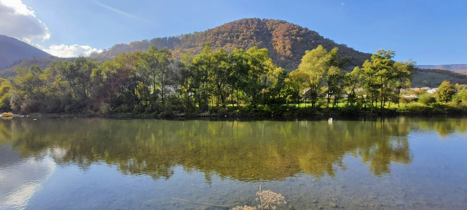 trees reflected in a lake in front of mountains