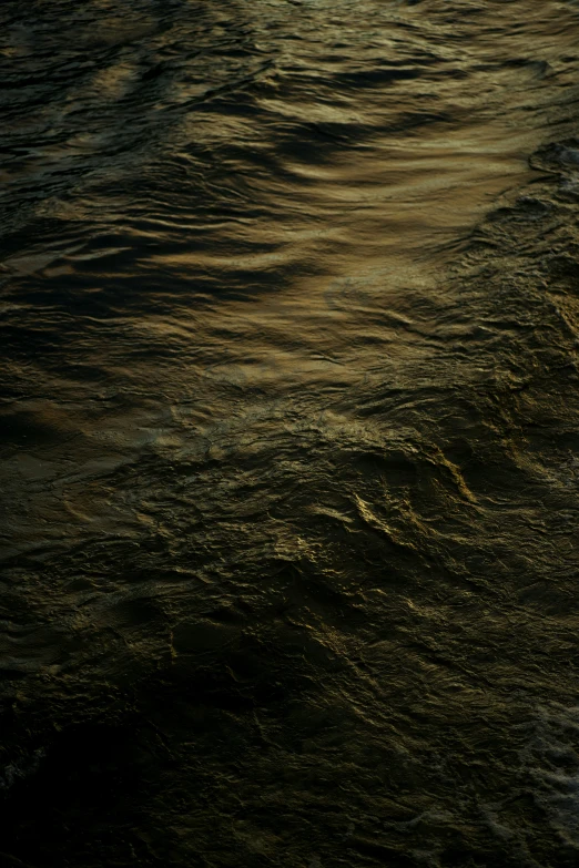 an ocean shore with small waves and small dots on the sand