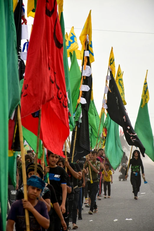 a bunch of s are holding flags at the street