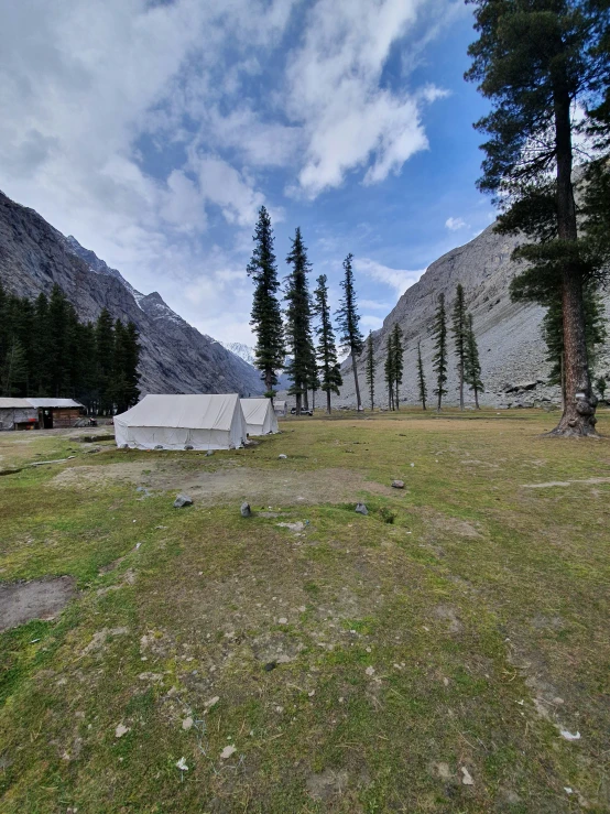 a field with mountains in the distance and grass and trees in front