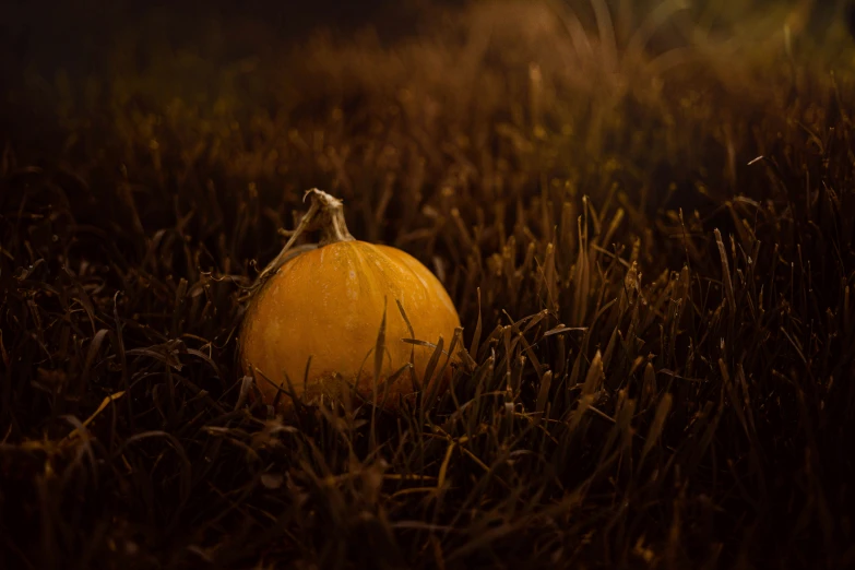 an orange pumpkin is lying in a field