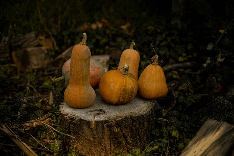 there are a few ripe fruits that are sitting on a stump