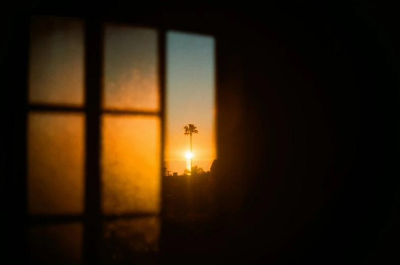 a window view at sunset of buildings with palm trees
