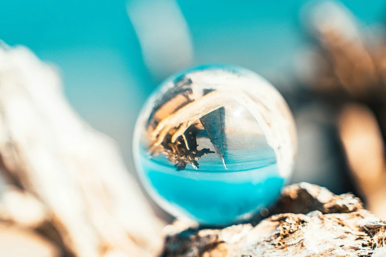 a sand dollar ornament sits on a log near the ocean