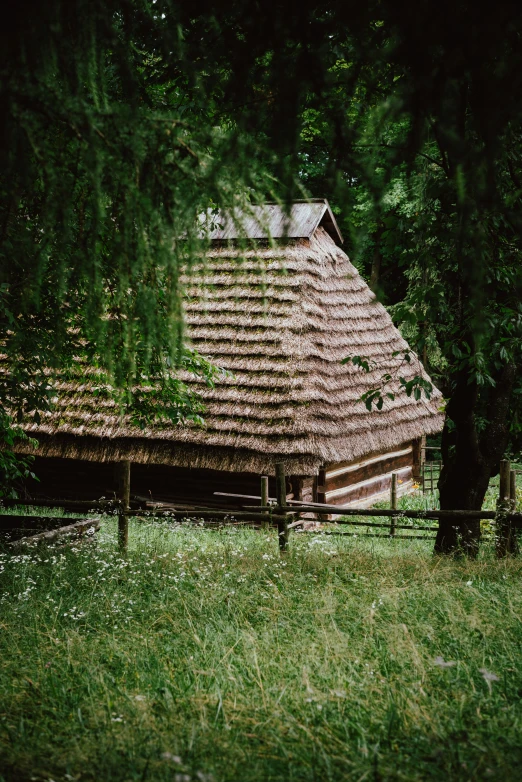 a wooden building with green grass and trees in front