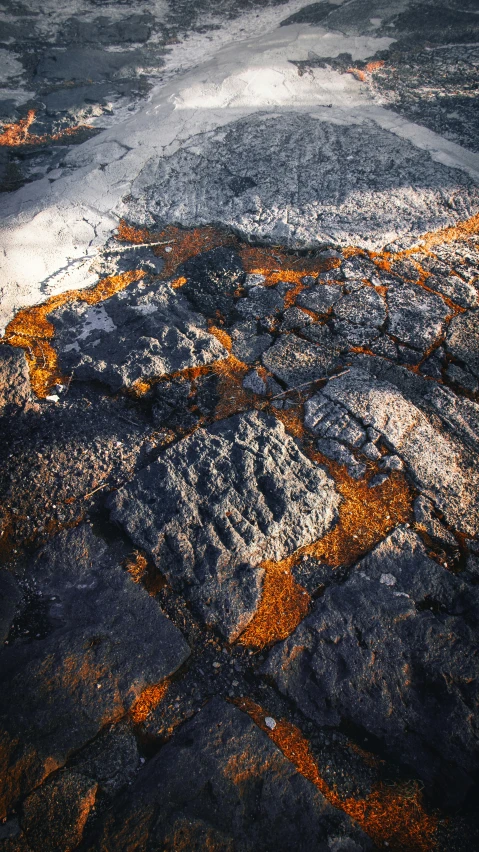 the surface of the earth covered in dirt and moss