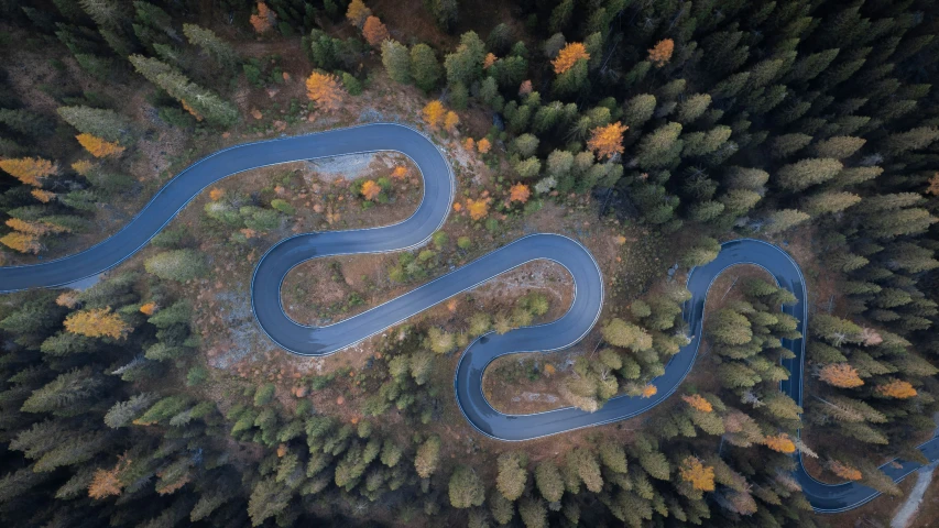 an aerial view of a winding river between a forest with fallen leaves