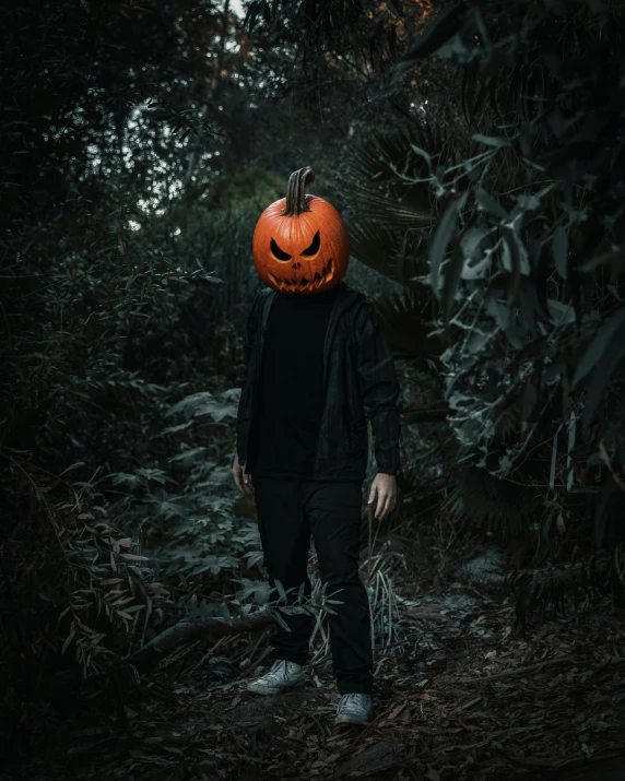 a man wearing a carved pumpkin as head