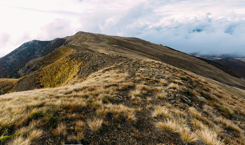 there is some grass on the side of this hill