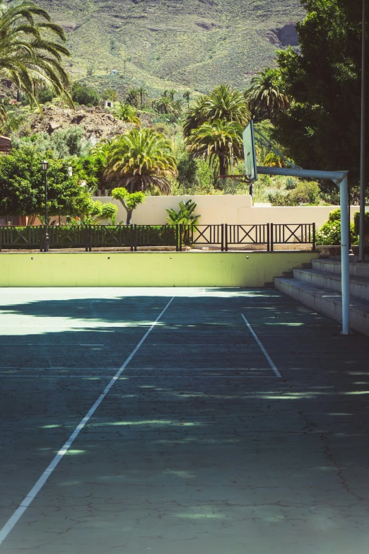 a man playing tennis in a park setting