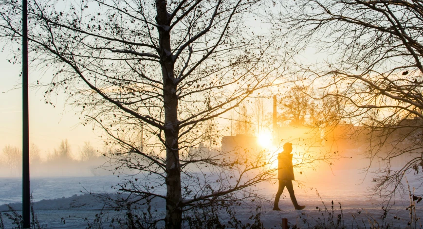 a person walking in the winter fog with the sun going down behind them