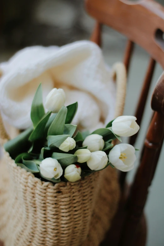 the flowers have just been picked from the basket