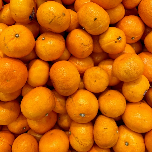 a bunch of oranges sitting on top of each other
