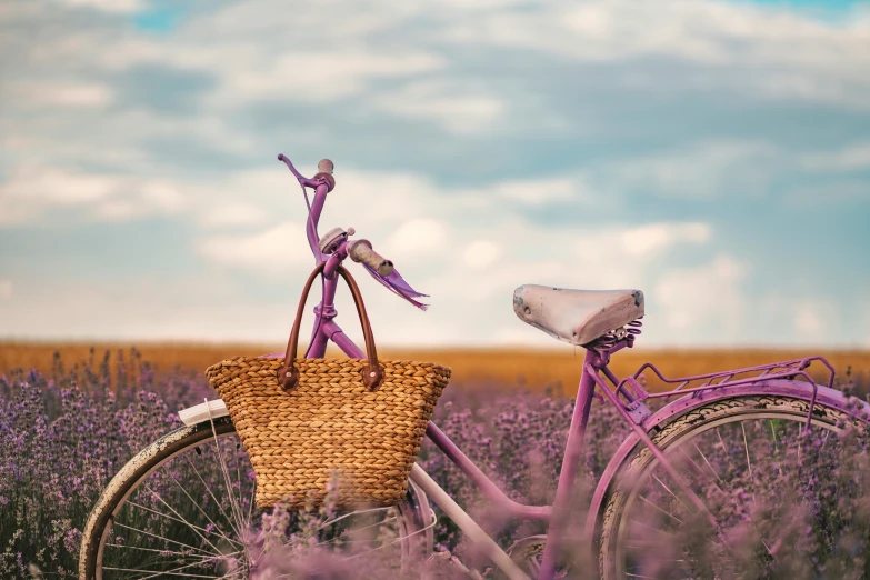 a purple bike parked in a purple field