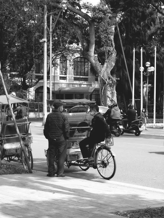 a person on a horse drawn carriage in a park