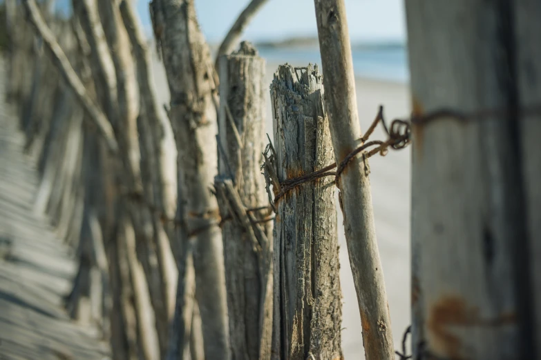 a wooden fence next to the ocean with sticks tangled up