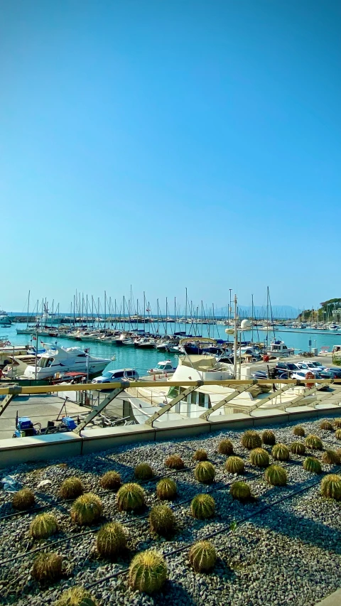 boats are in the marina with no people in them