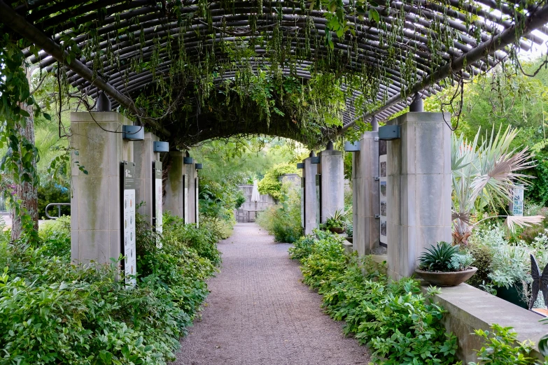 the path way in the garden has plants on either side