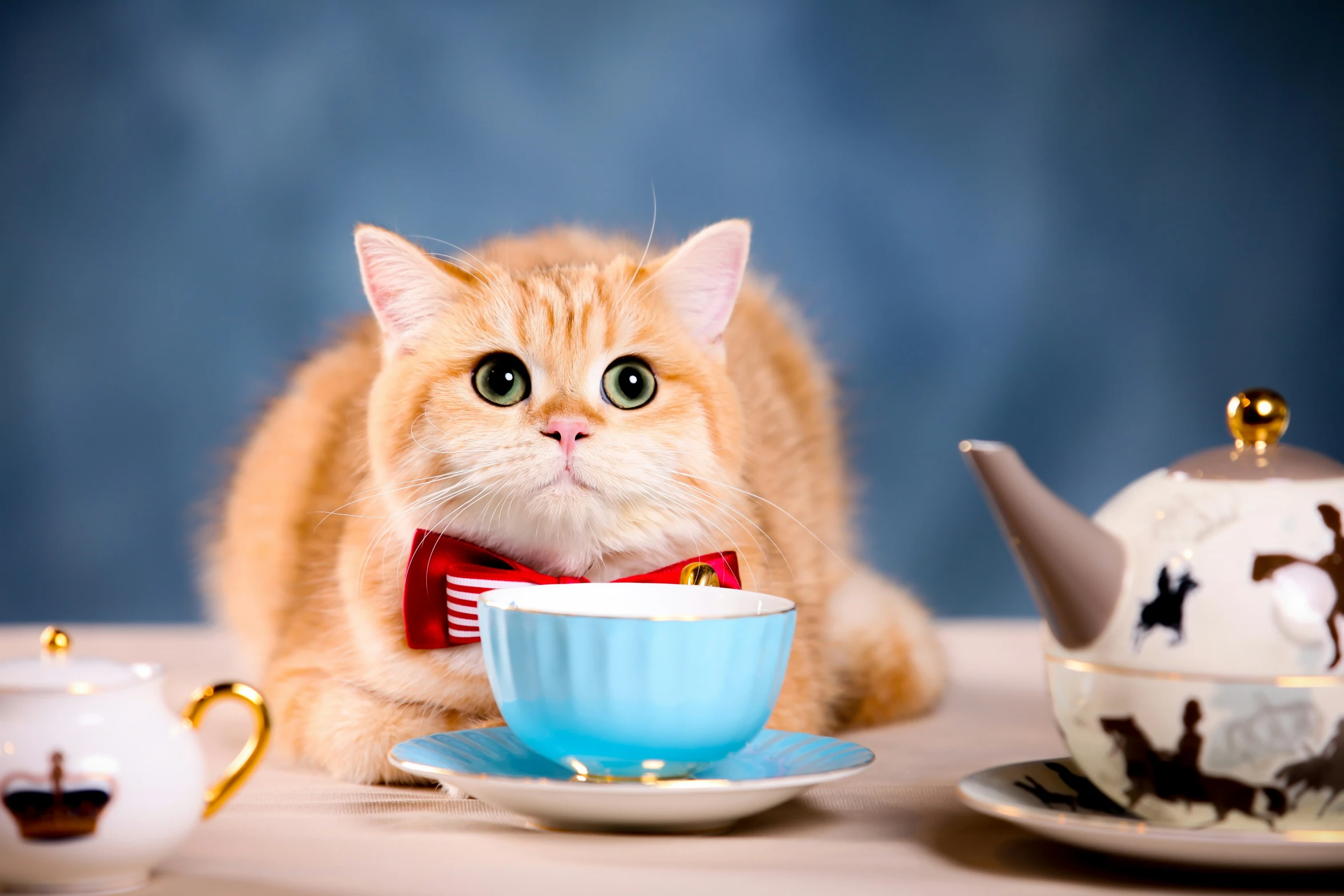 an orange cat is sitting on a table and next to a tea cup