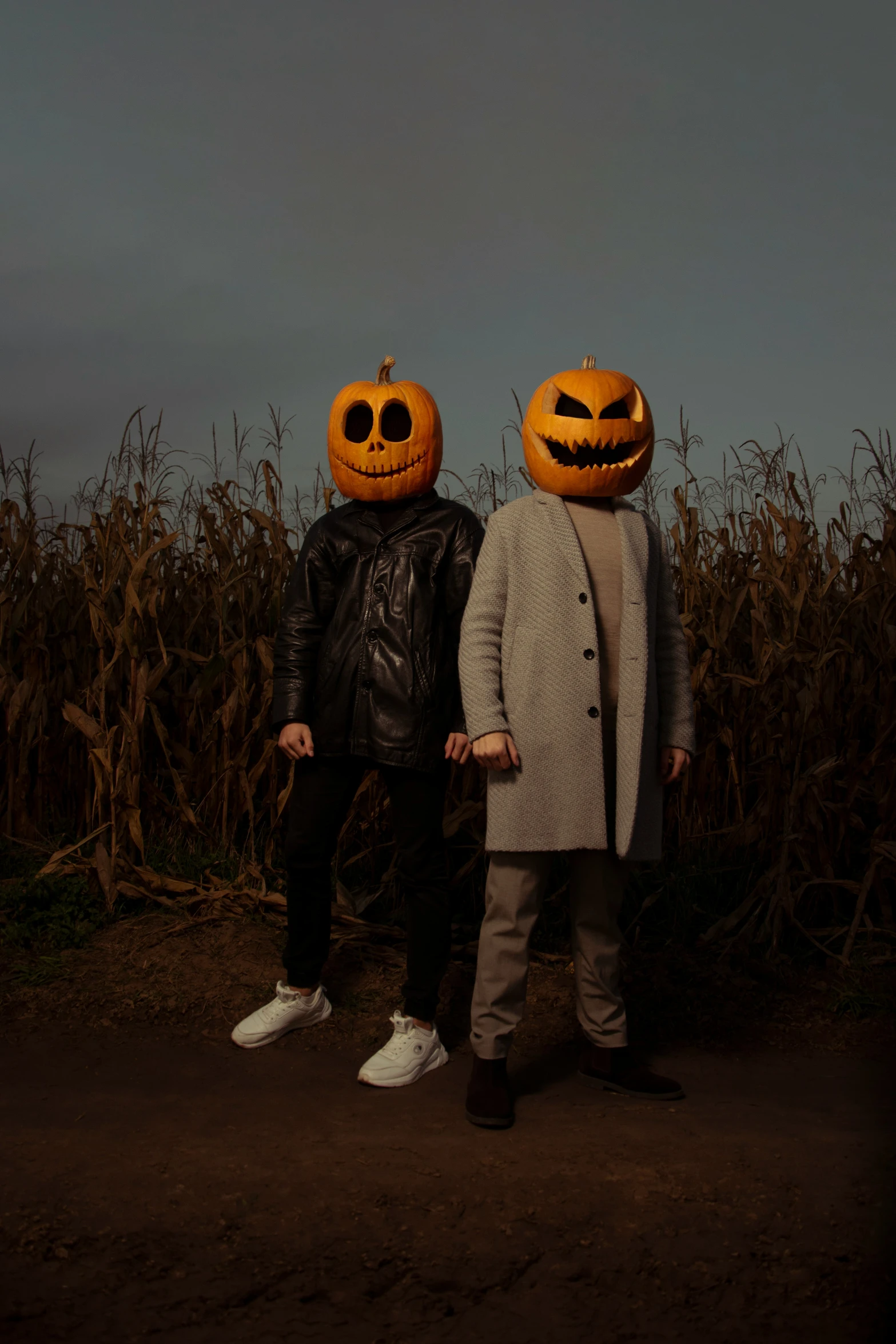 a couple of men wearing jack - o - lantern pumpkins stand in a corn field