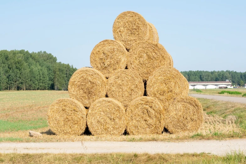 a field with a lot of hay balls in it