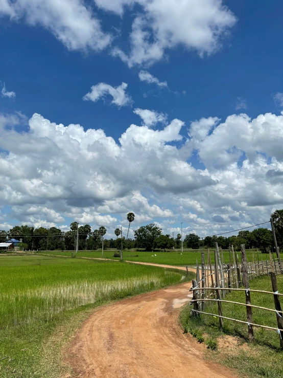 a dirt road that has a grassy field