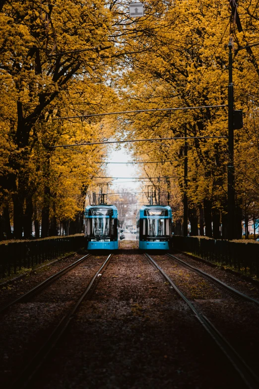 two blue and white trains on train tracks with trees
