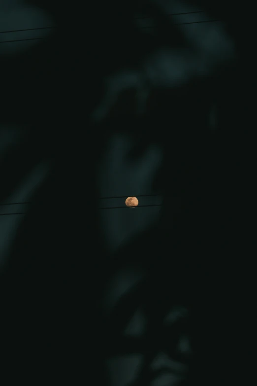 a partial view of a palm tree and the moon from inside a room