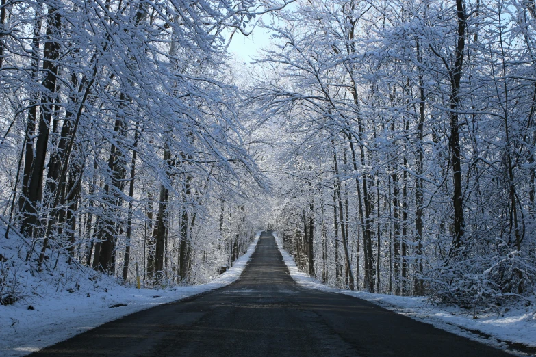 a road is shown through trees and ice