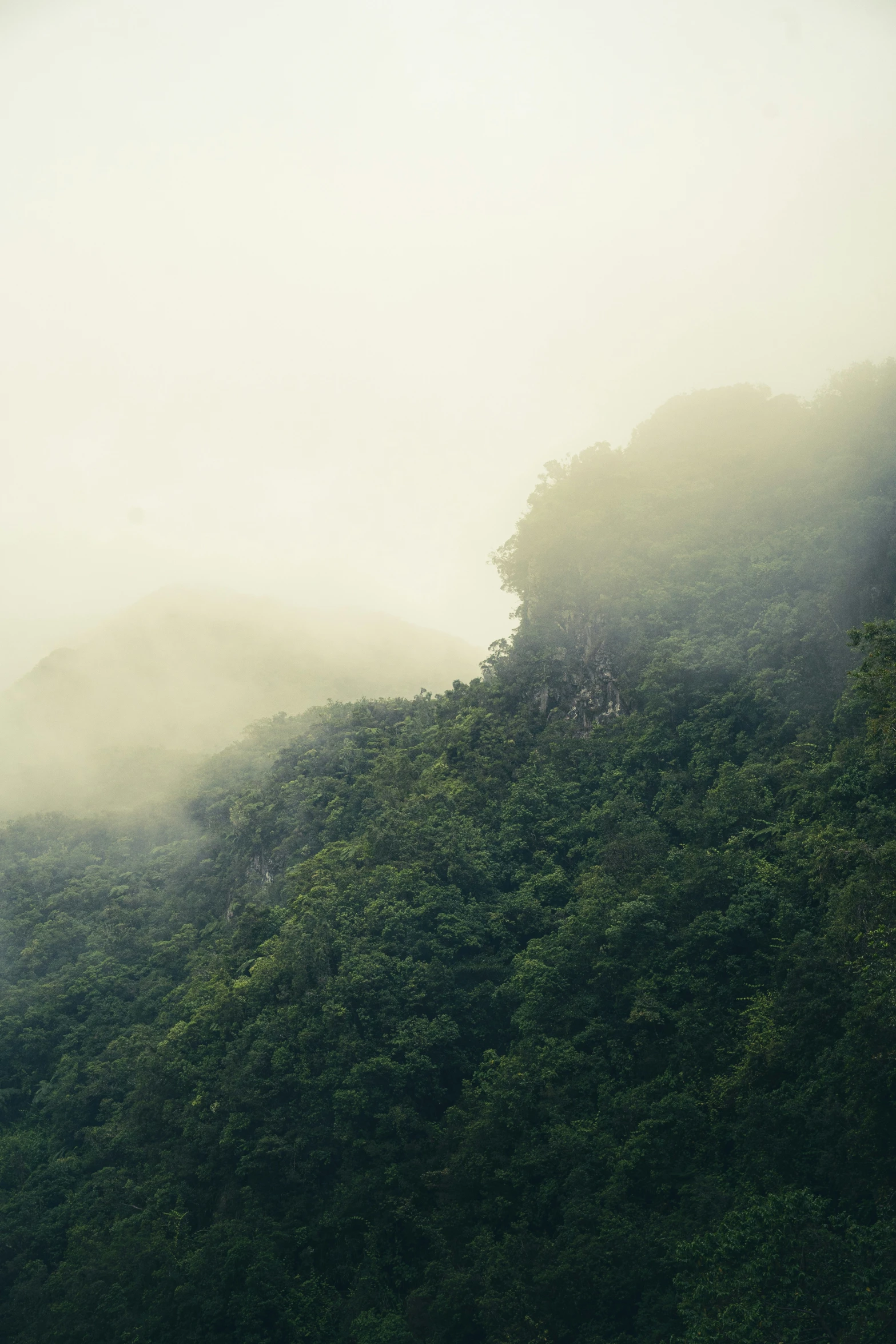 the mountains have clouds and dense vegetation in the foreground