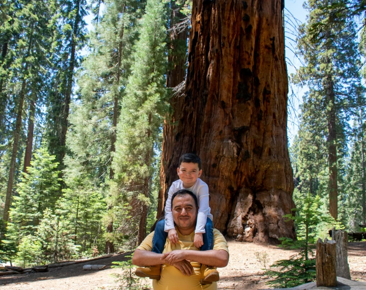 a man and child are standing in the shade of a massive tree