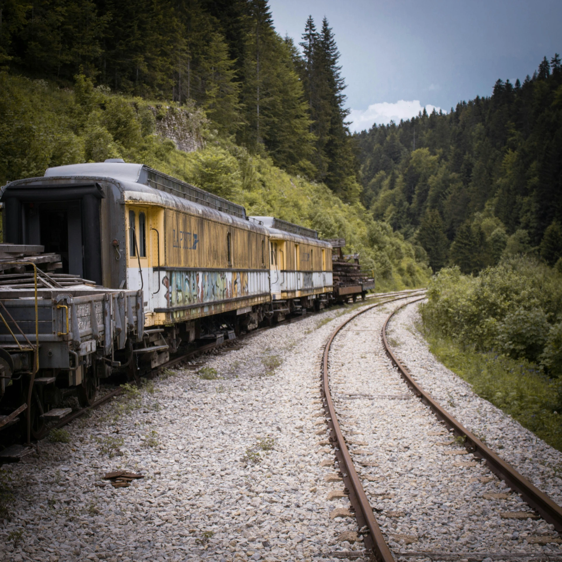 a train going through the woods and under a forest