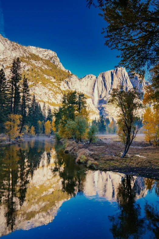 the lake and trees reflect off the water