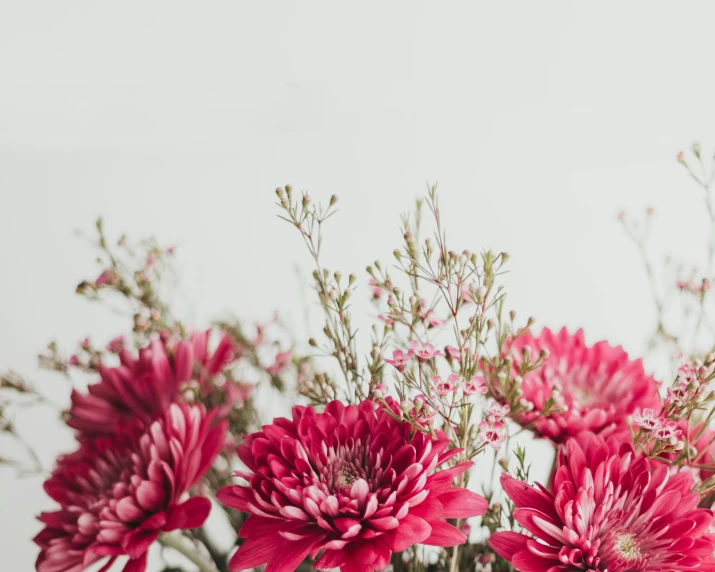 some red flowers are in a glass vase