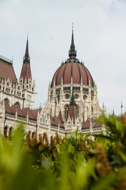 the top of an ornate building with lots of trees in front of it