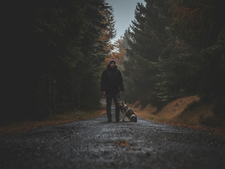 a man walking his dog down the road