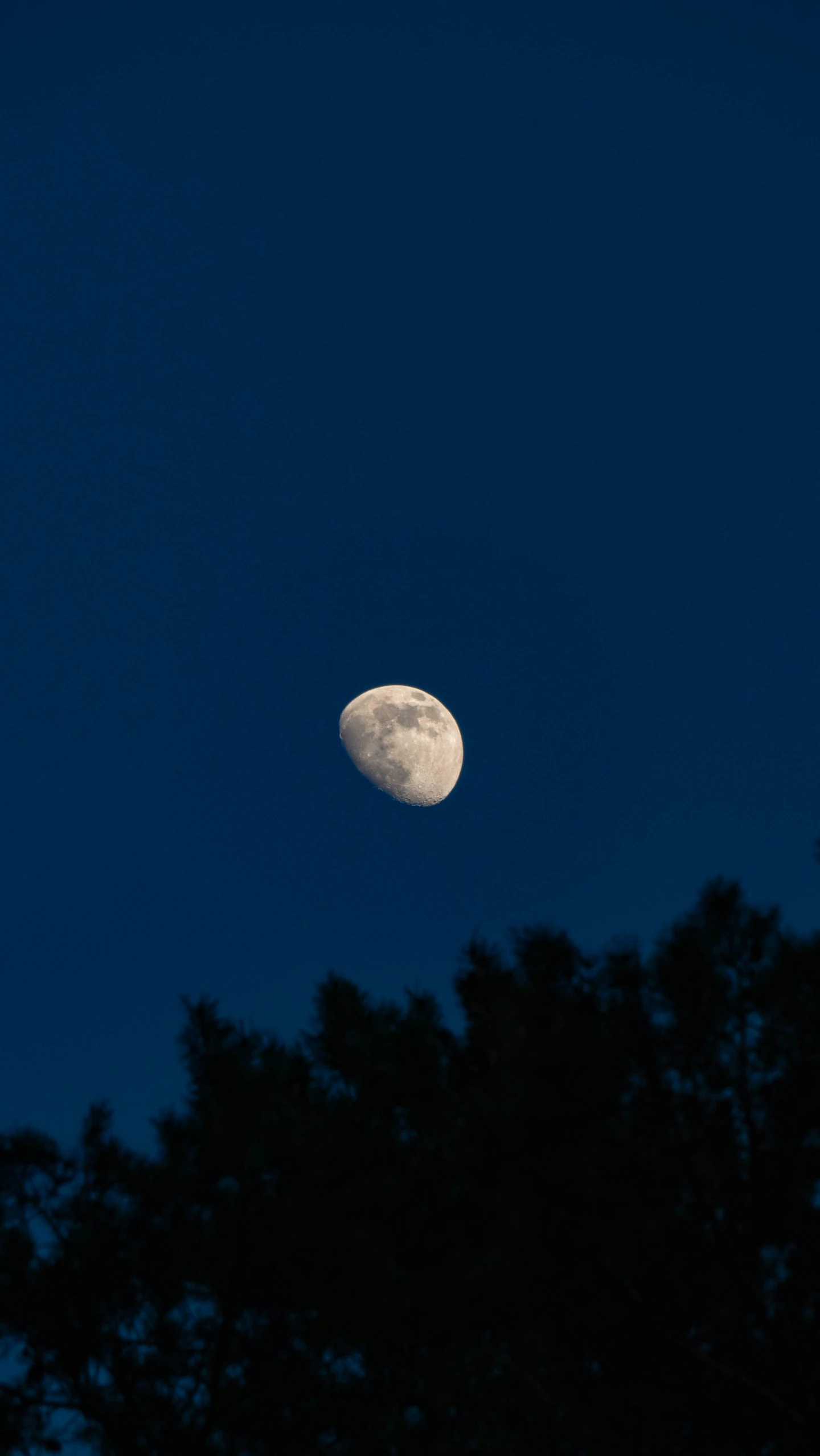 the full moon shines brightly through the dark sky