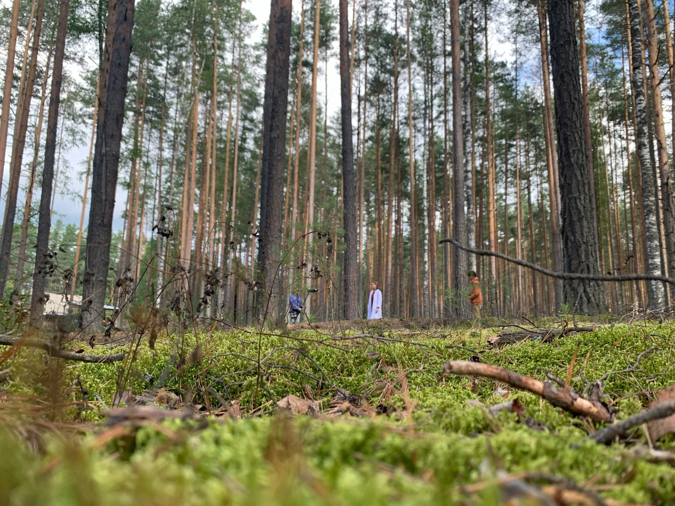 two people stand in the middle of the forest