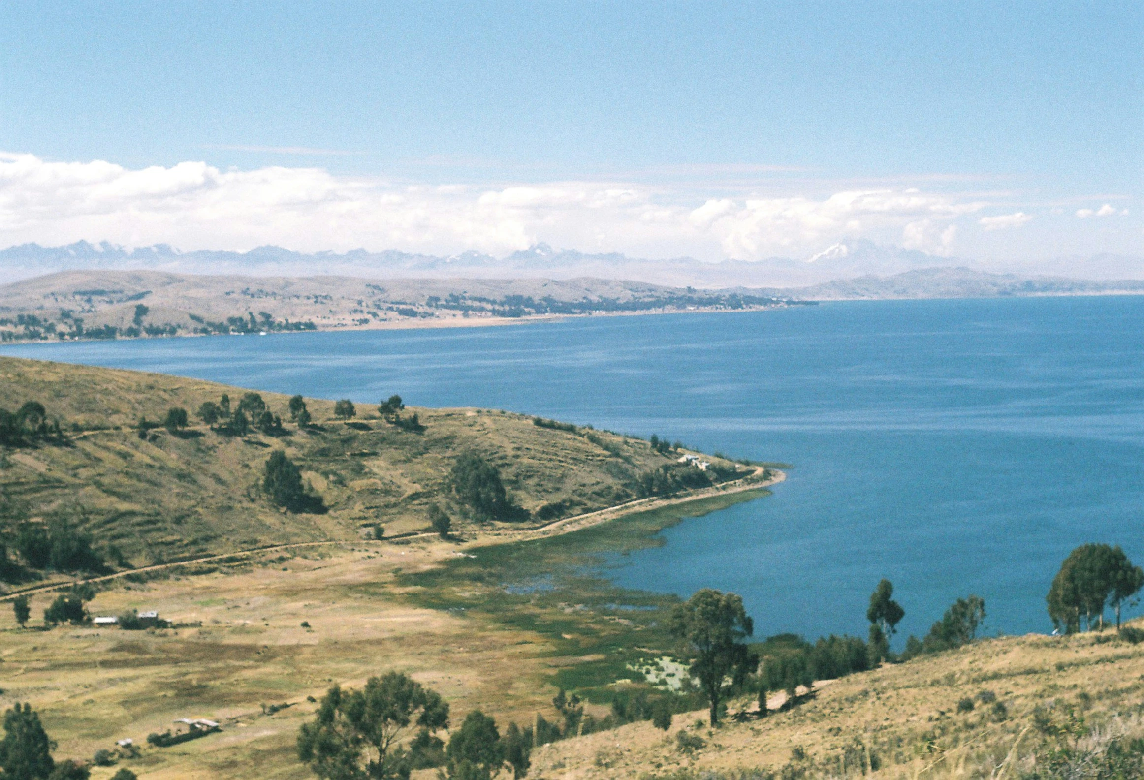 large body of water surrounded by land and trees