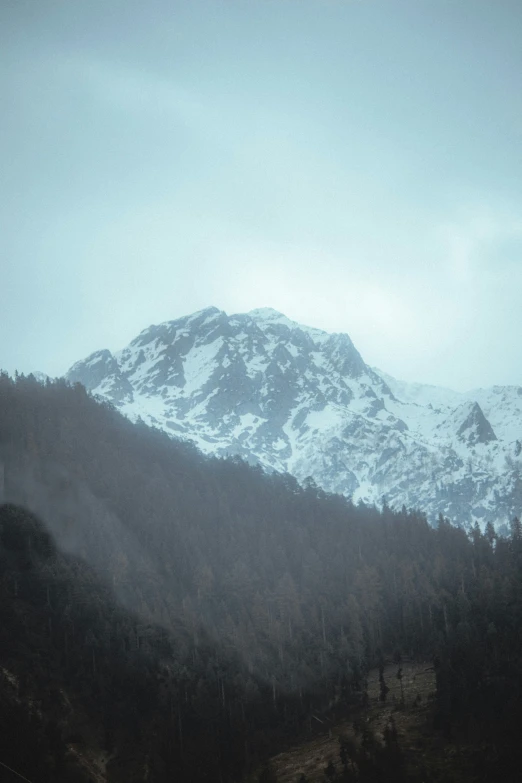 a snow covered mountain range with trees and mountains in the background